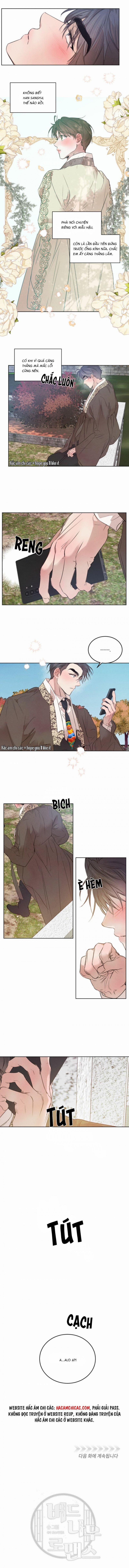 Chuyện Tình Cây Liễu 52.5 trang 2