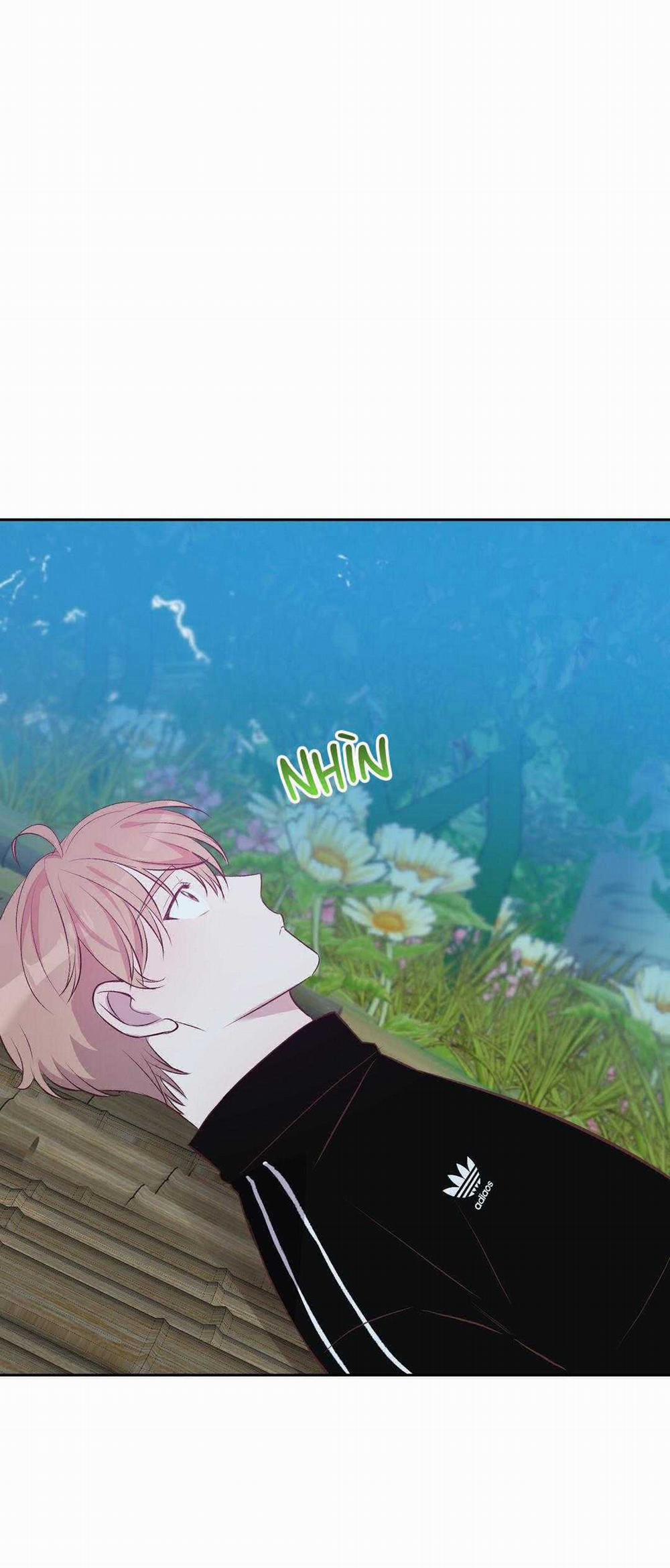 Chuyện Tình Đảo Hoang 17 trang 11