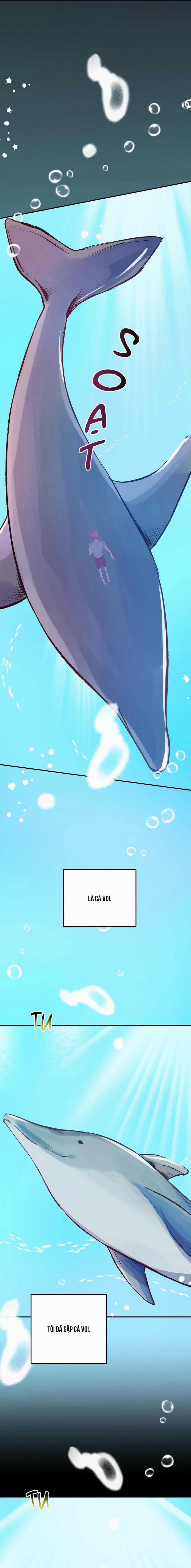 Chuyện Tình Đảo Hoang 32 trang 51