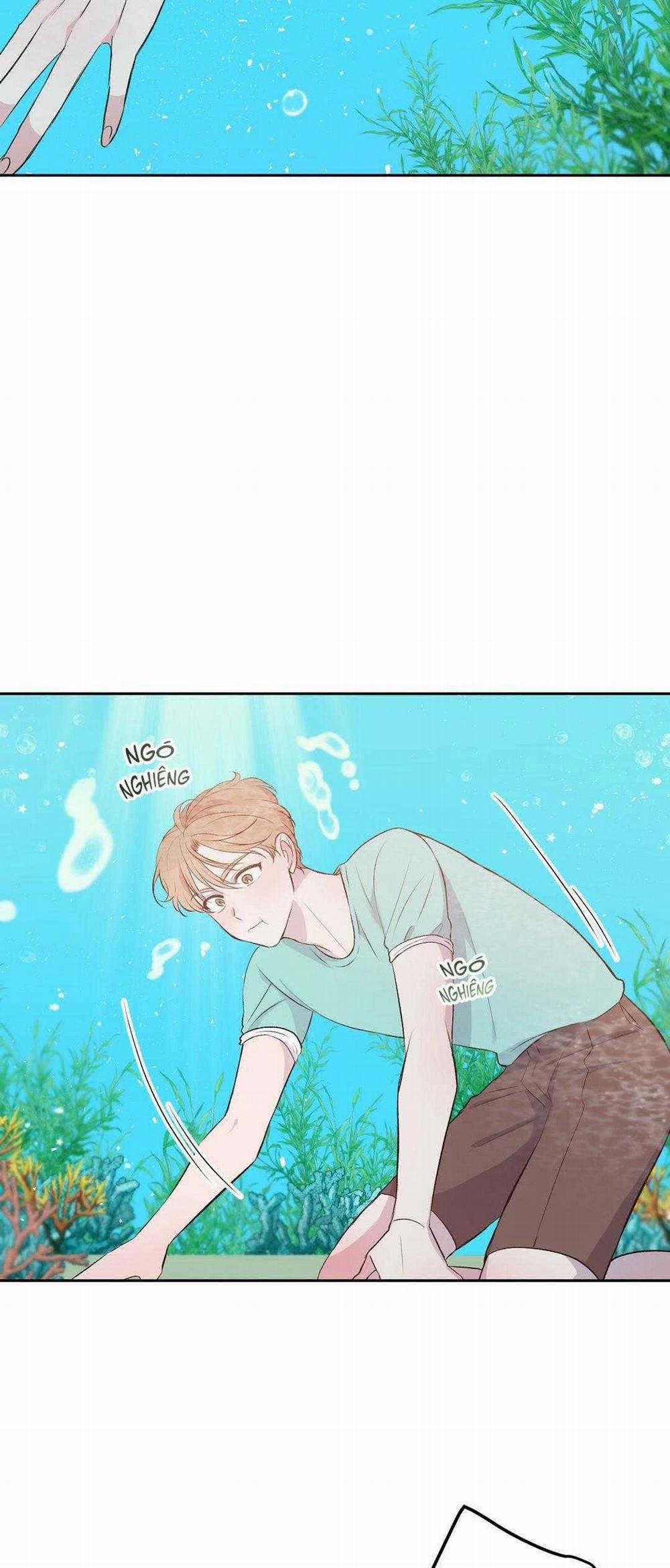 Chuyện Tình Đảo Hoang 4 trang 2