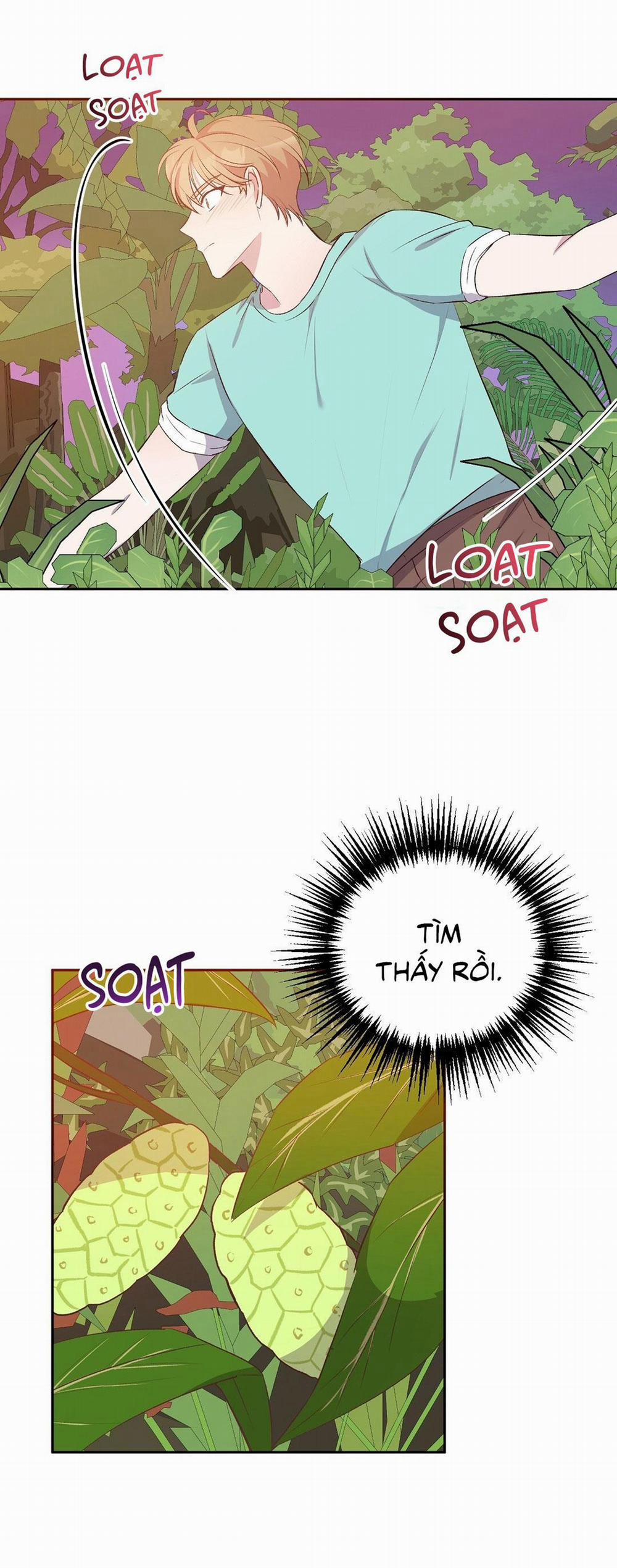 Chuyện Tình Đảo Hoang 8 trang 40