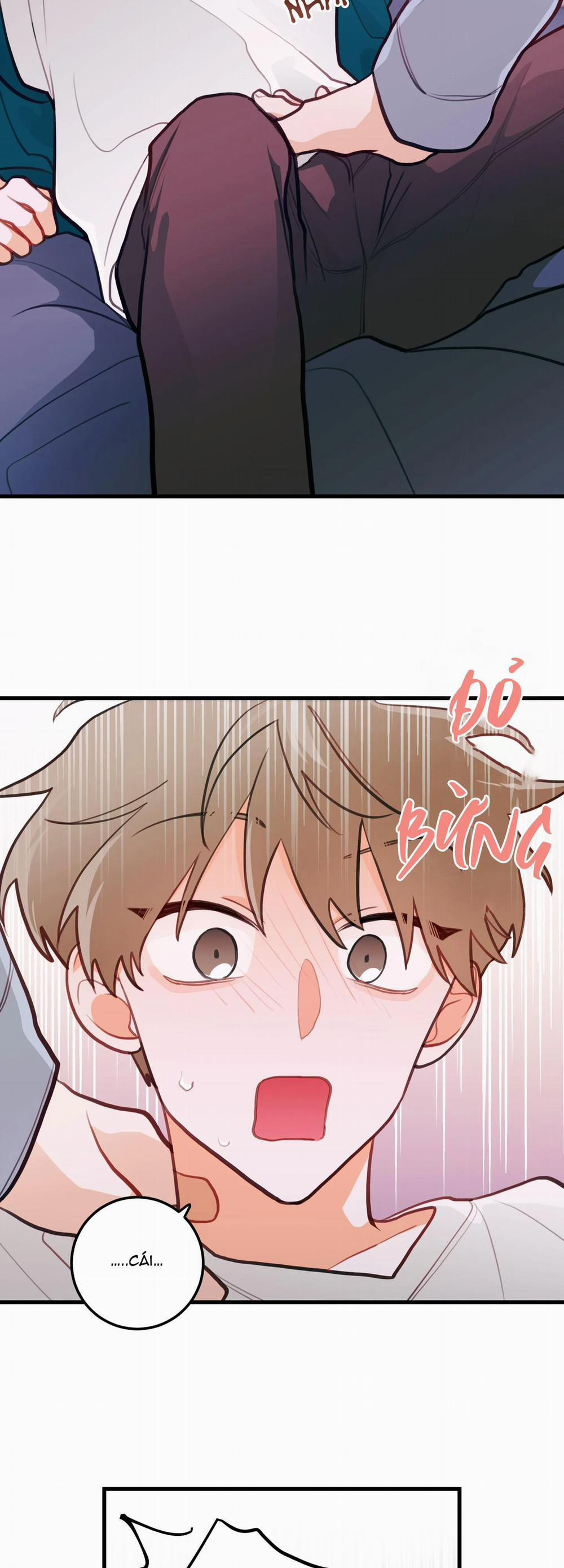 CHUYỆN TÌNH HOA LÊ NỞ 12 trang 1