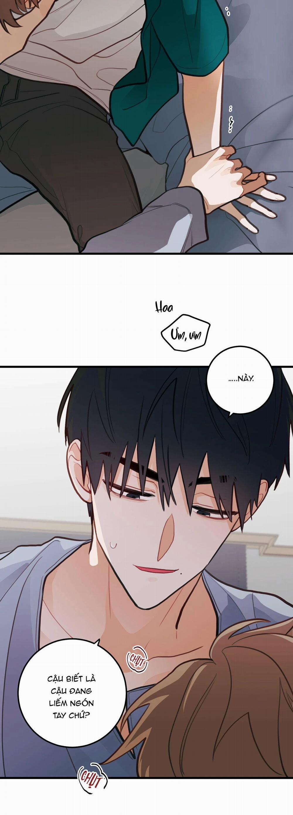 CHUYỆN TÌNH HOA LÊ NỞ 12 trang 17