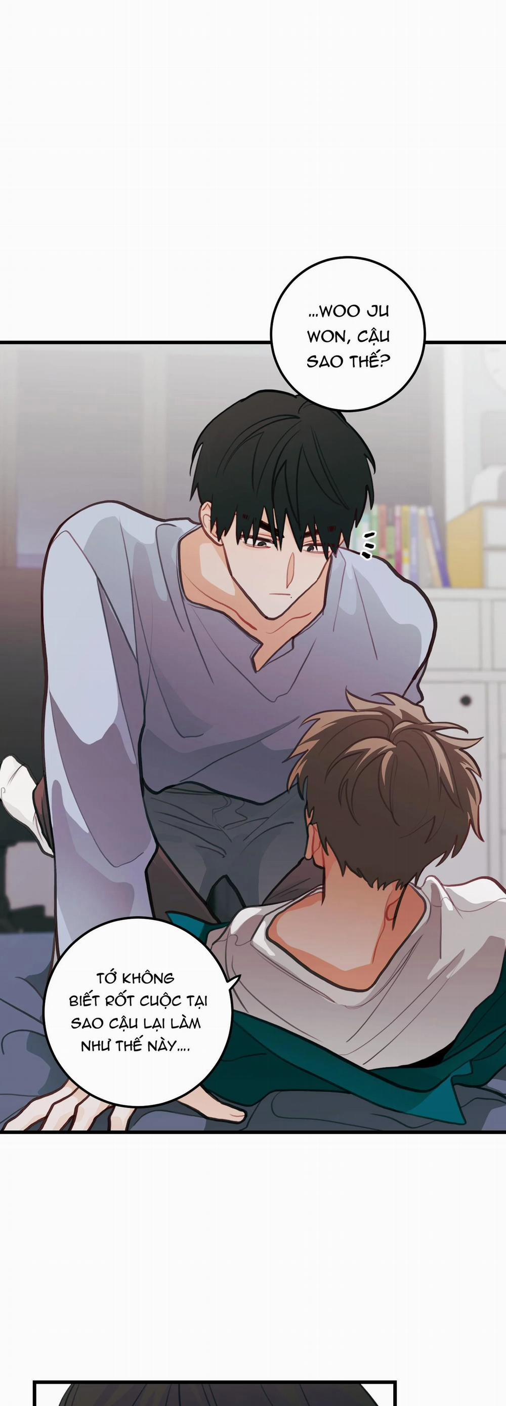 CHUYỆN TÌNH HOA LÊ NỞ 13 trang 4