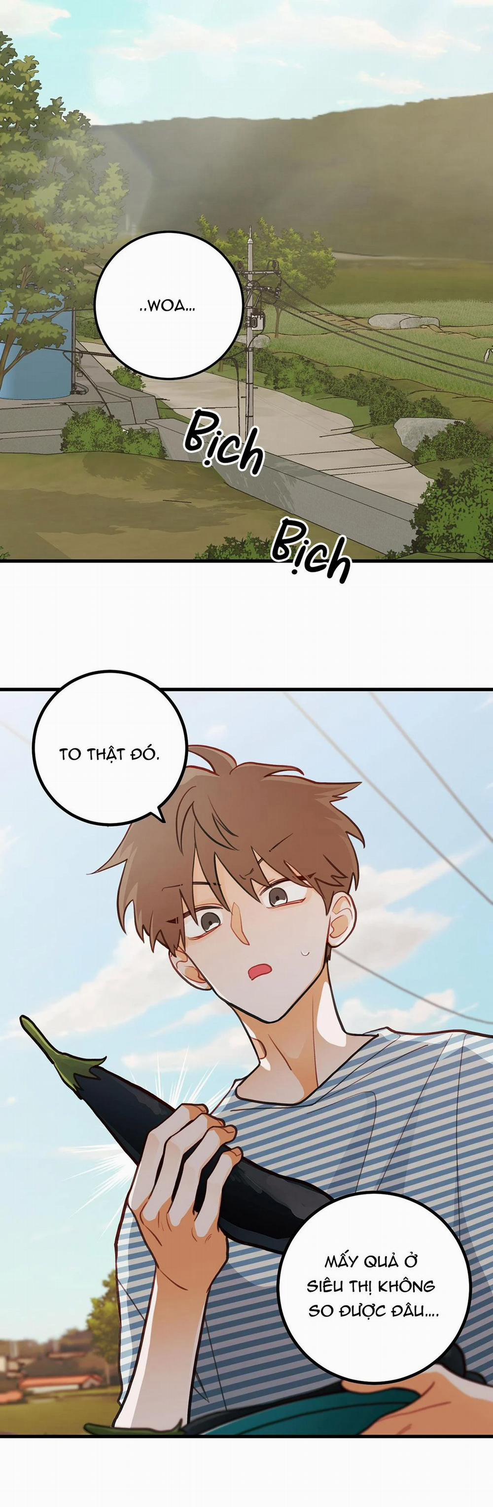 CHUYỆN TÌNH HOA LÊ NỞ 14 trang 26