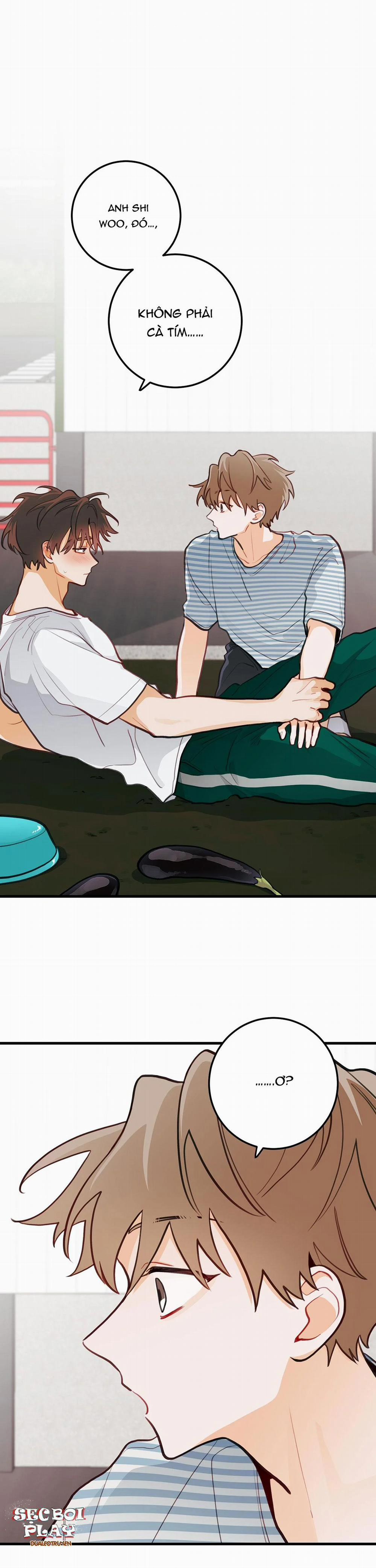 CHUYỆN TÌNH HOA LÊ NỞ 15 trang 0