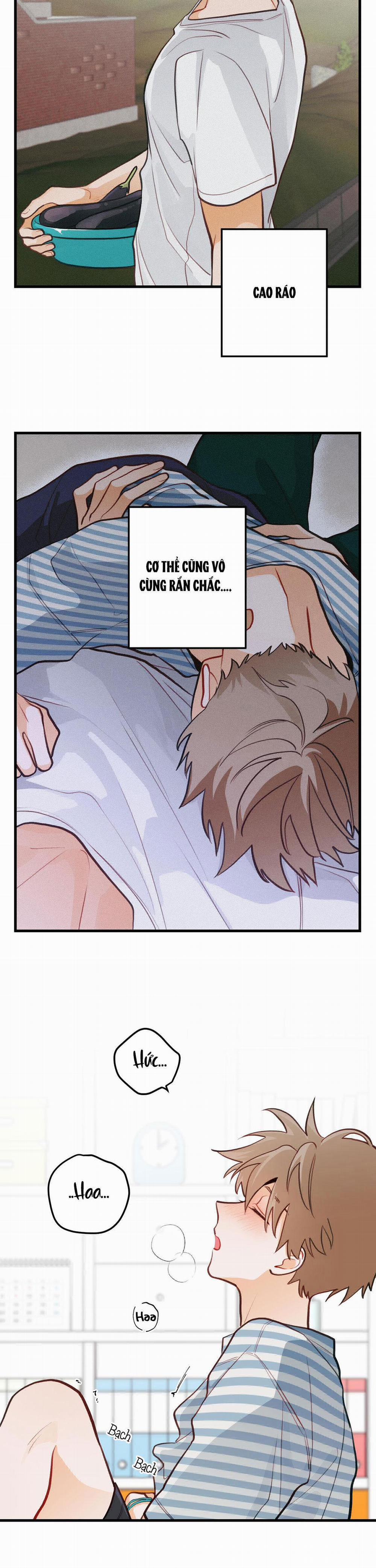 CHUYỆN TÌNH HOA LÊ NỞ 15 trang 17