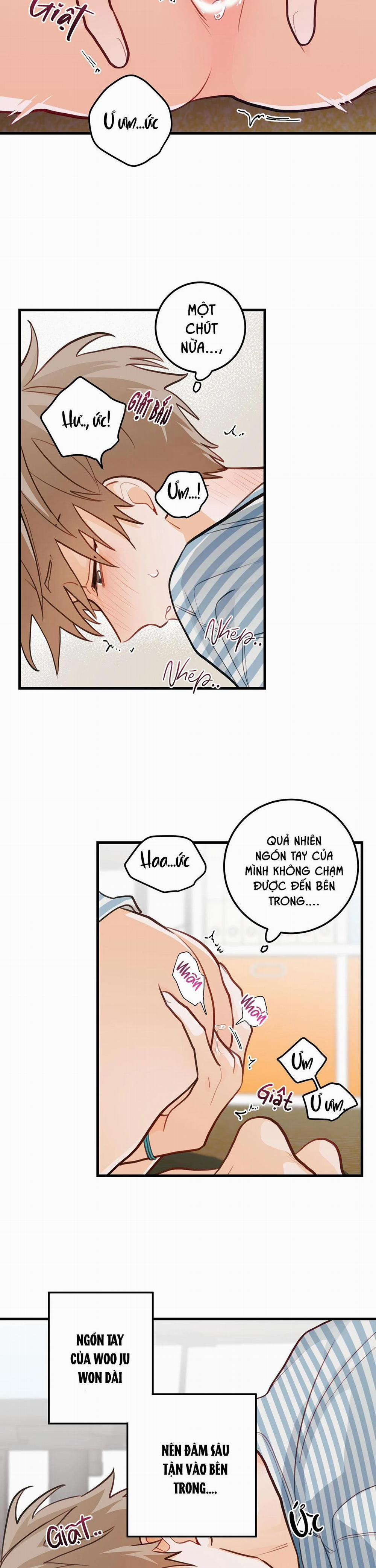 CHUYỆN TÌNH HOA LÊ NỞ 15 trang 19