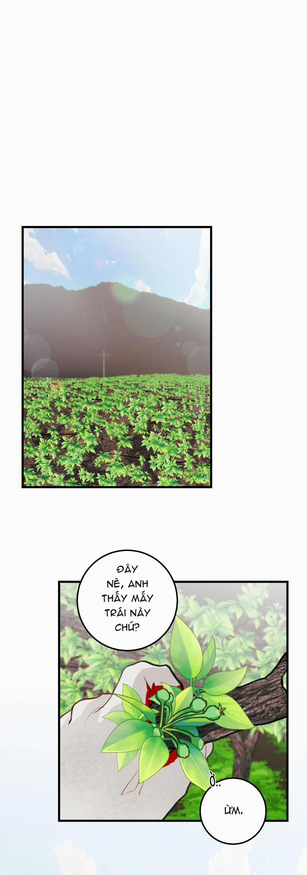 CHUYỆN TÌNH HOA LÊ NỞ 16 trang 21