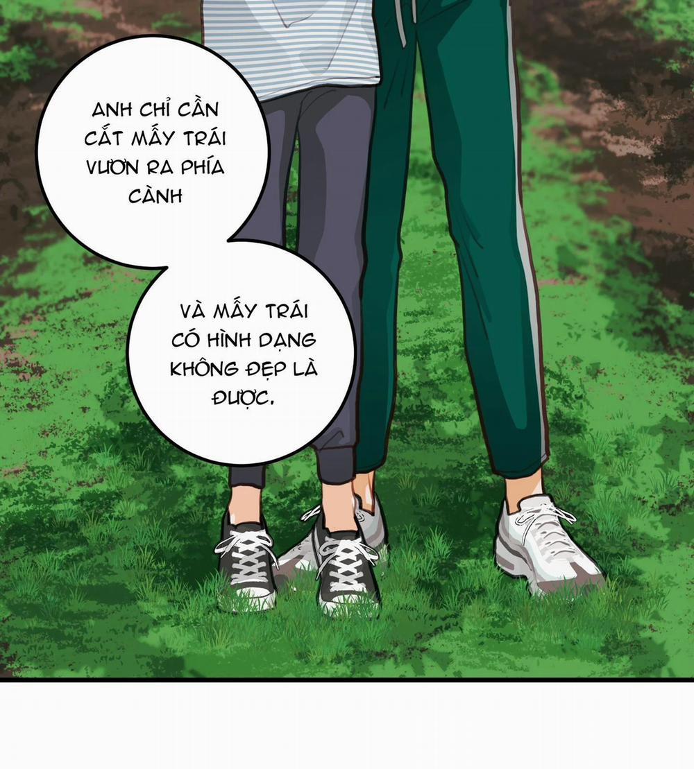 CHUYỆN TÌNH HOA LÊ NỞ 16 trang 23