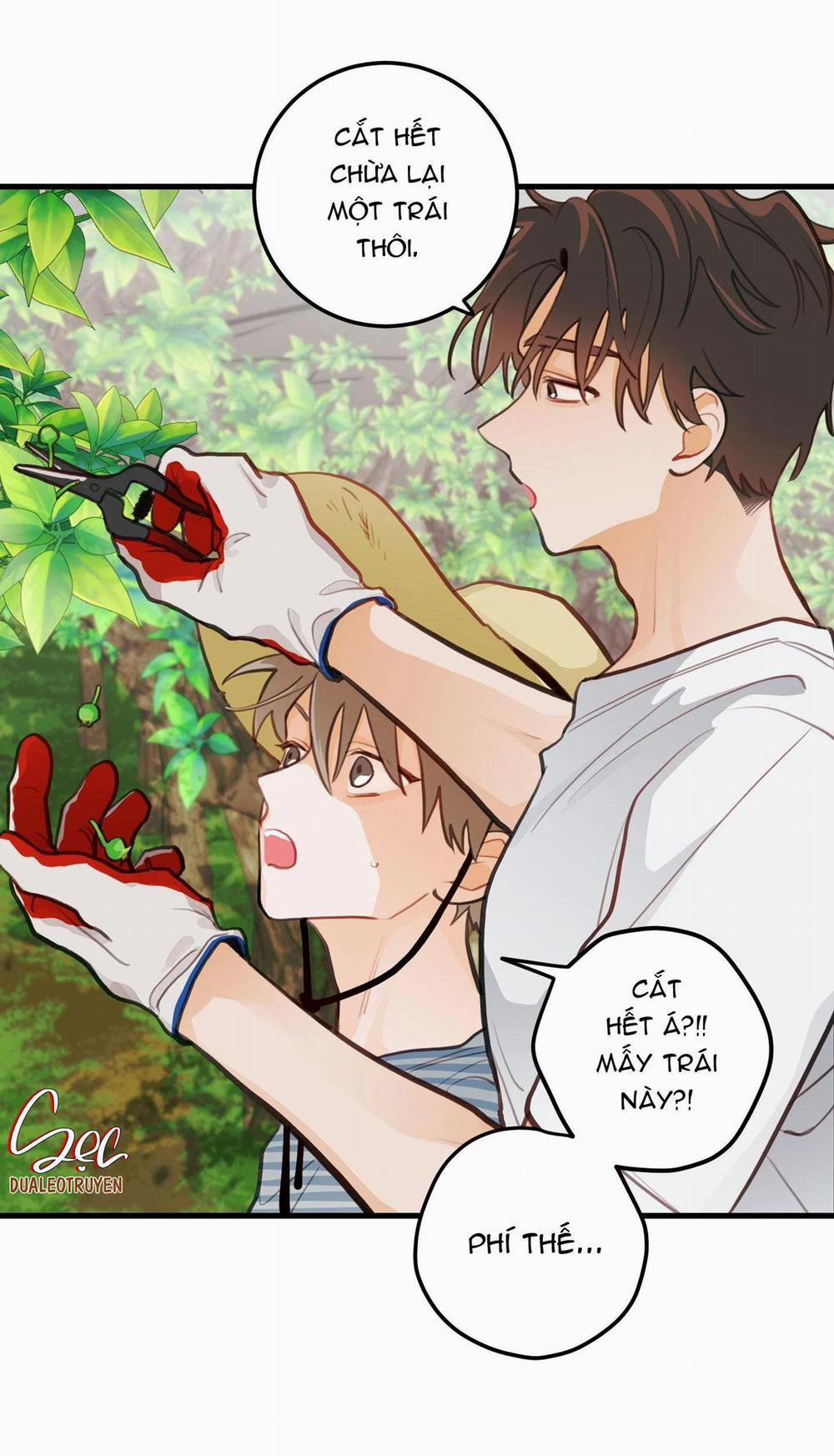 CHUYỆN TÌNH HOA LÊ NỞ 16 trang 24