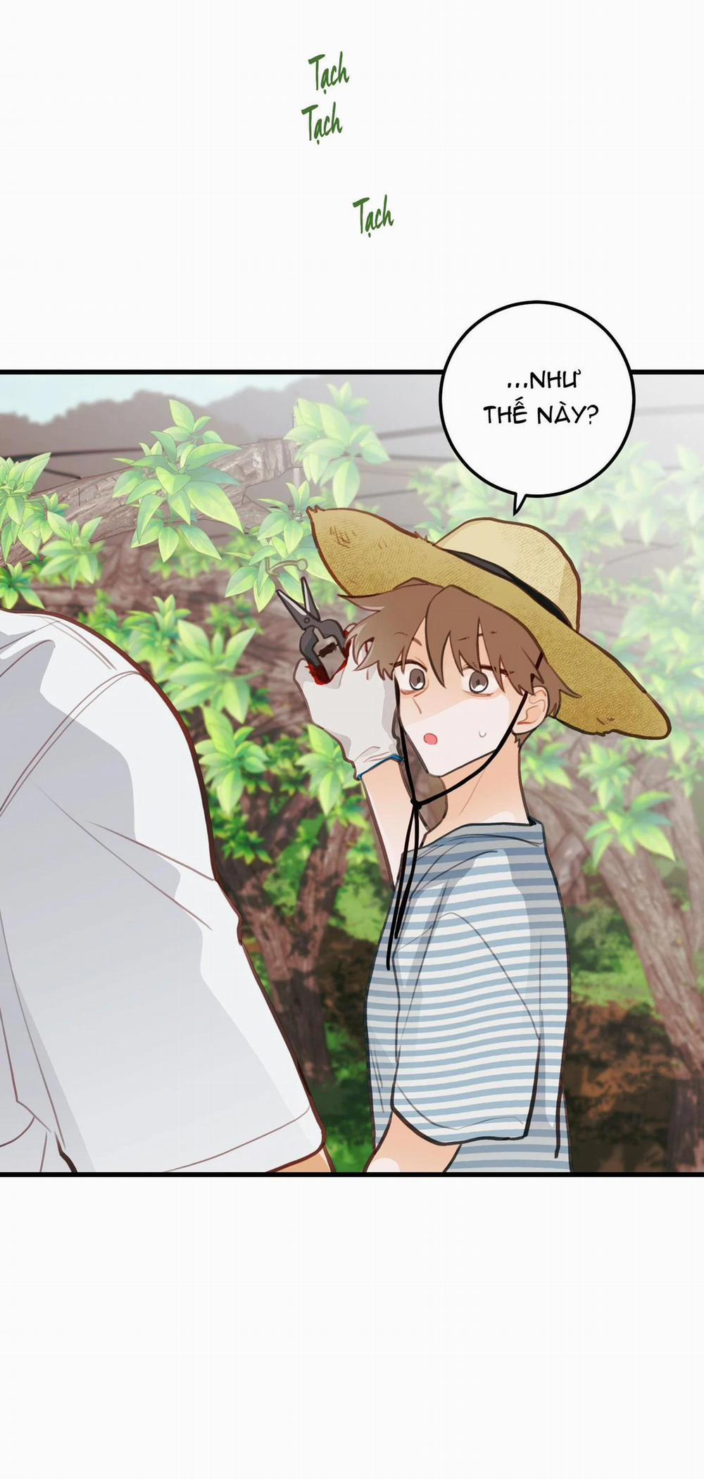 CHUYỆN TÌNH HOA LÊ NỞ 16 trang 27