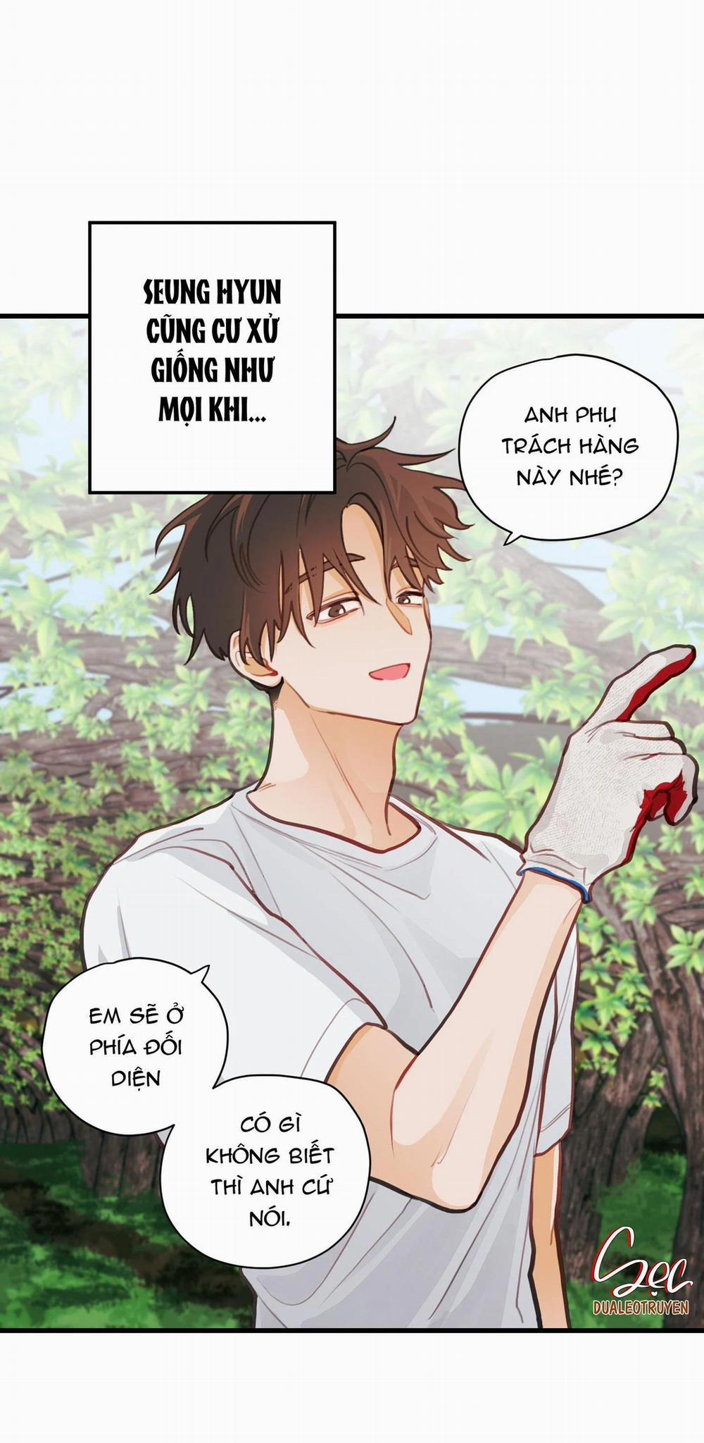 CHUYỆN TÌNH HOA LÊ NỞ 16 trang 31