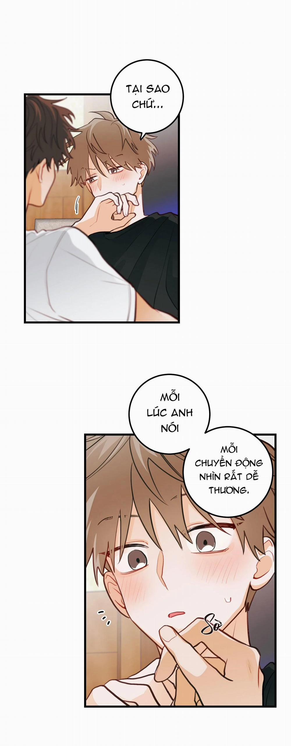 CHUYỆN TÌNH HOA LÊ NỞ 17 trang 11