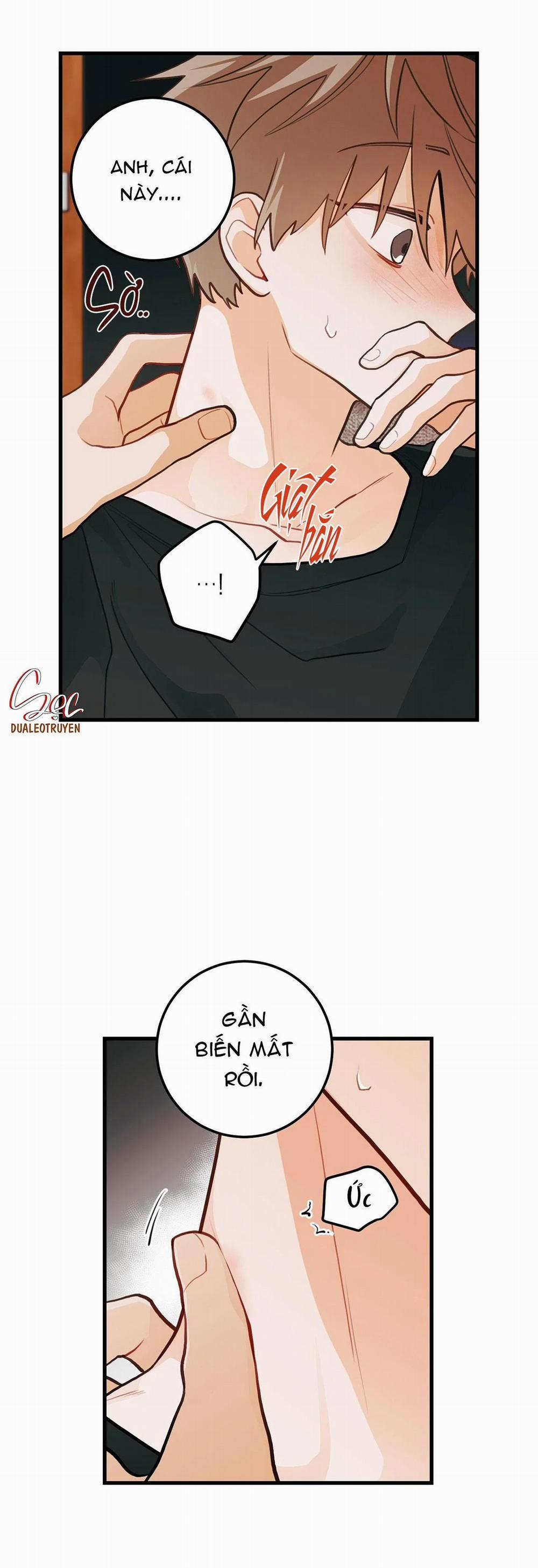 CHUYỆN TÌNH HOA LÊ NỞ 18 trang 11