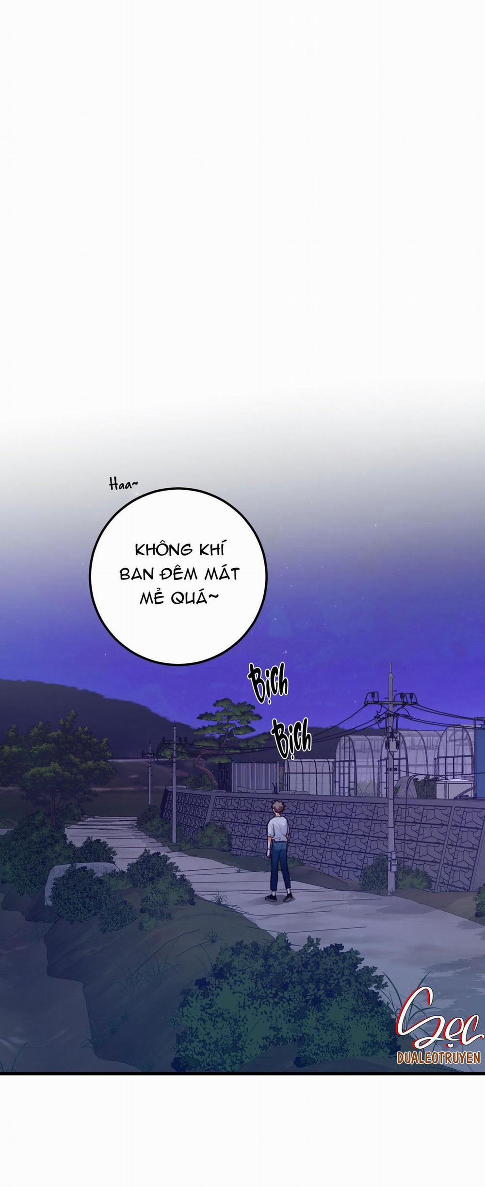 CHUYỆN TÌNH HOA LÊ NỞ 20 trang 12