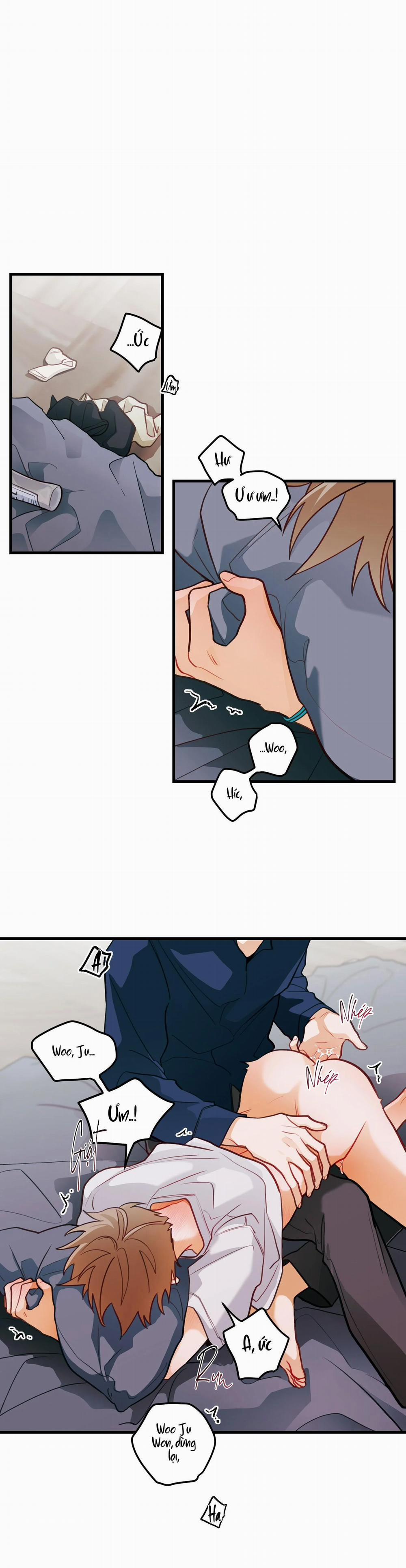 CHUYỆN TÌNH HOA LÊ NỞ 28 trang 22