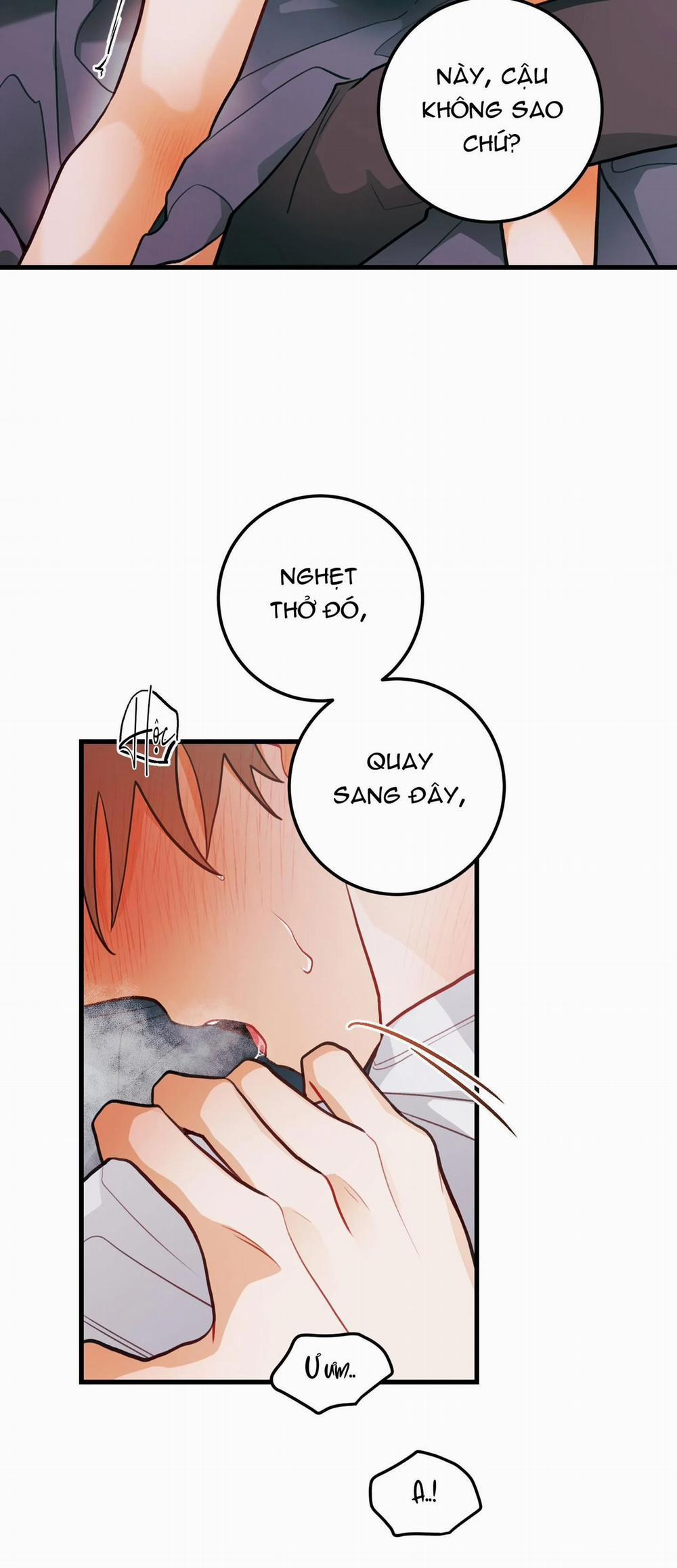 CHUYỆN TÌNH HOA LÊ NỞ 28 trang 31