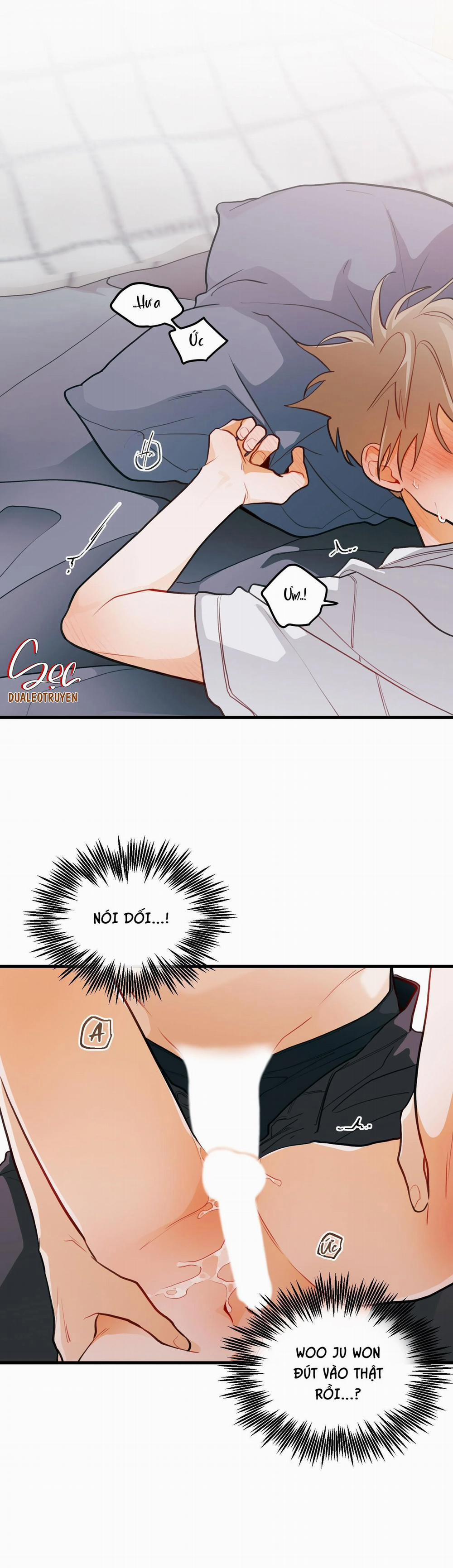 CHUYỆN TÌNH HOA LÊ NỞ 29 trang 1