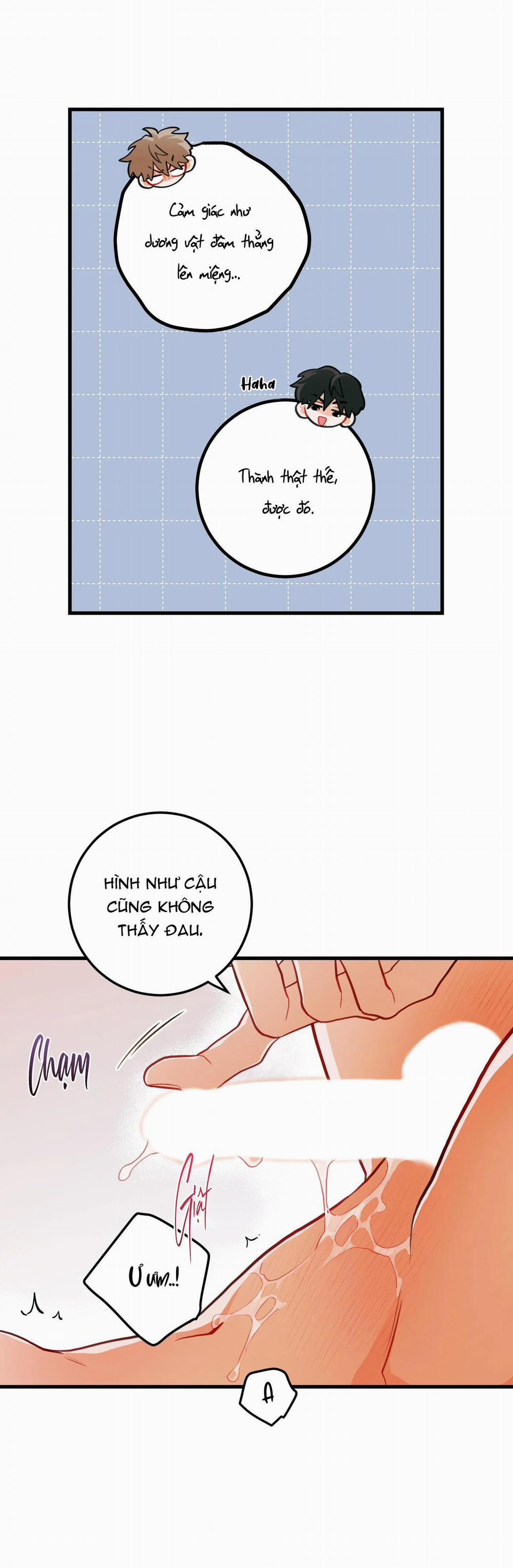 CHUYỆN TÌNH HOA LÊ NỞ 29 trang 15