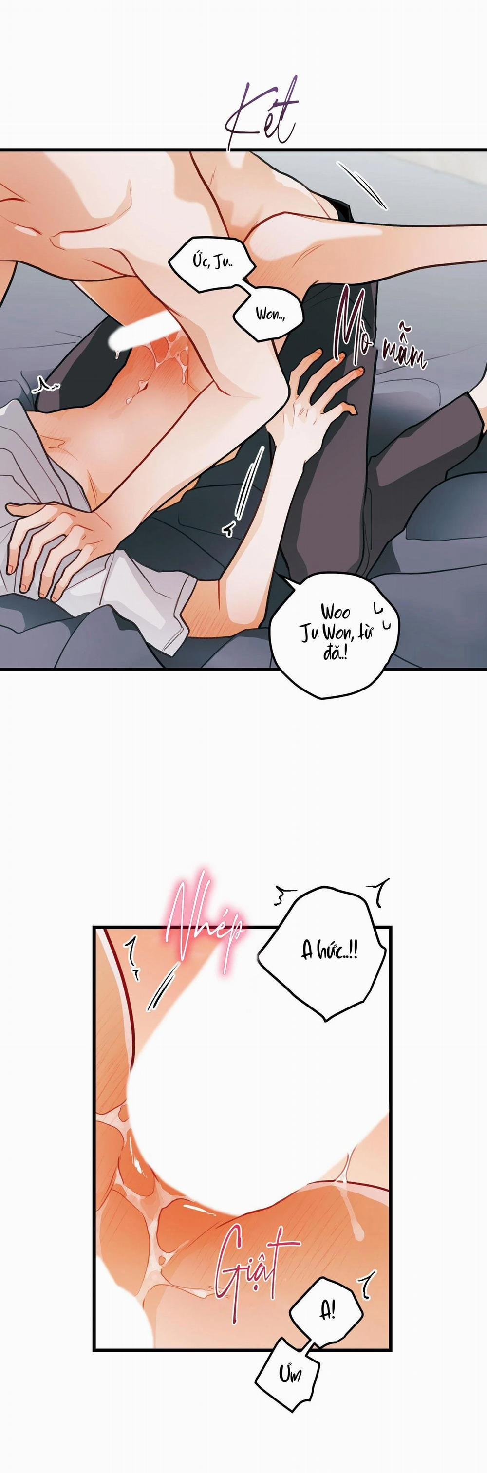 CHUYỆN TÌNH HOA LÊ NỞ 29 trang 16