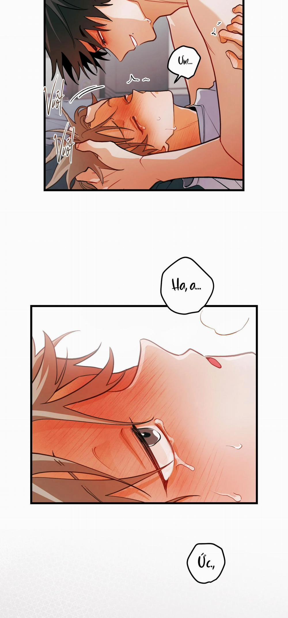 CHUYỆN TÌNH HOA LÊ NỞ 29 trang 26