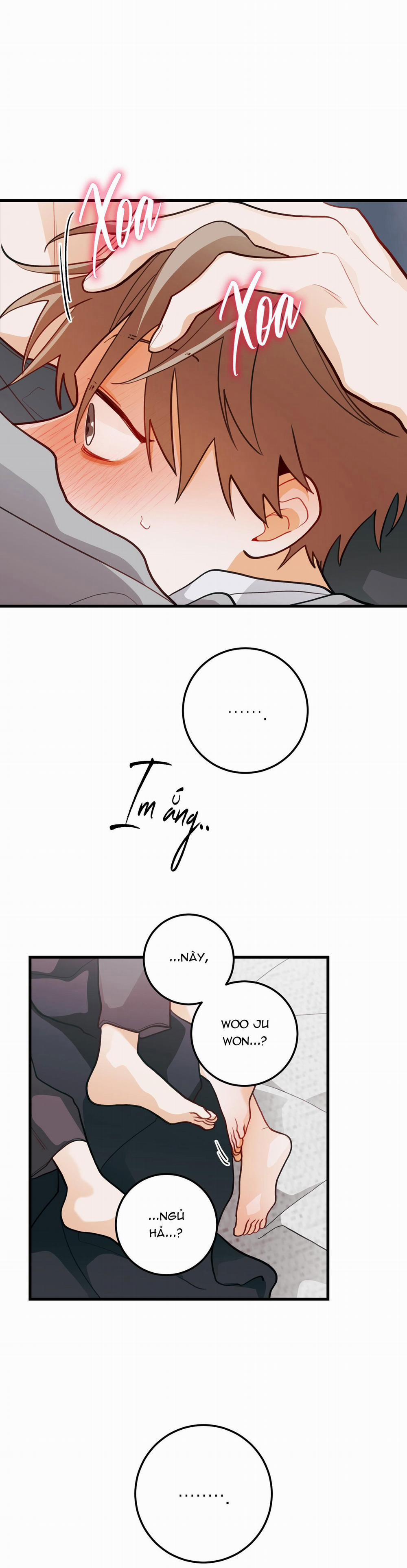 CHUYỆN TÌNH HOA LÊ NỞ 30 END SS1 trang 11