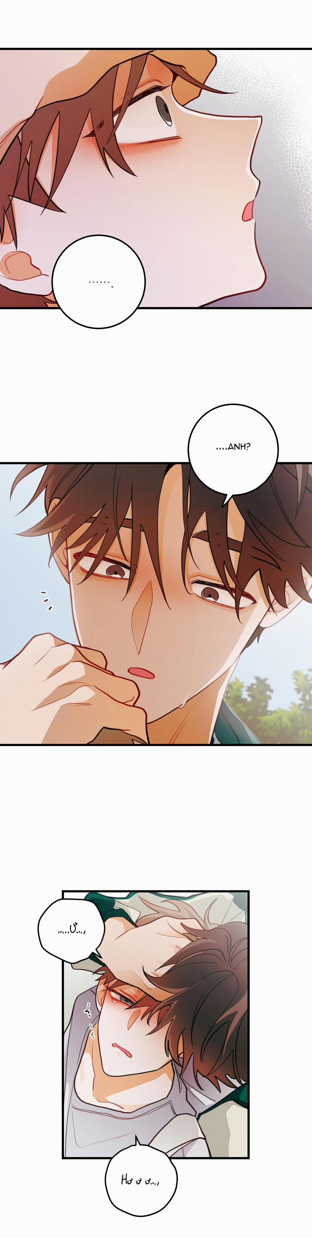 CHUYỆN TÌNH HOA LÊ NỞ 30 END SS1 trang 33