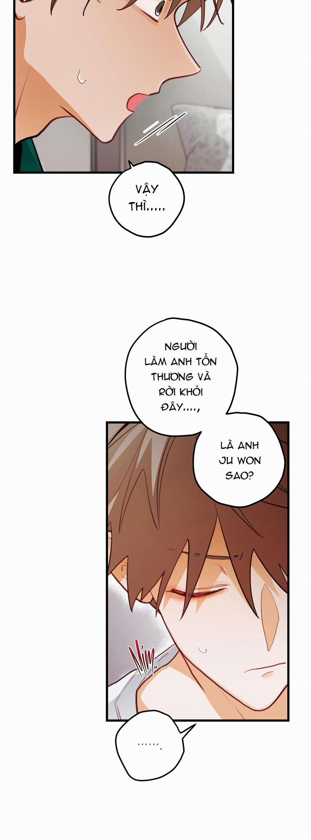 CHUYỆN TÌNH HOA LÊ NỞ 31 ss2 trang 13