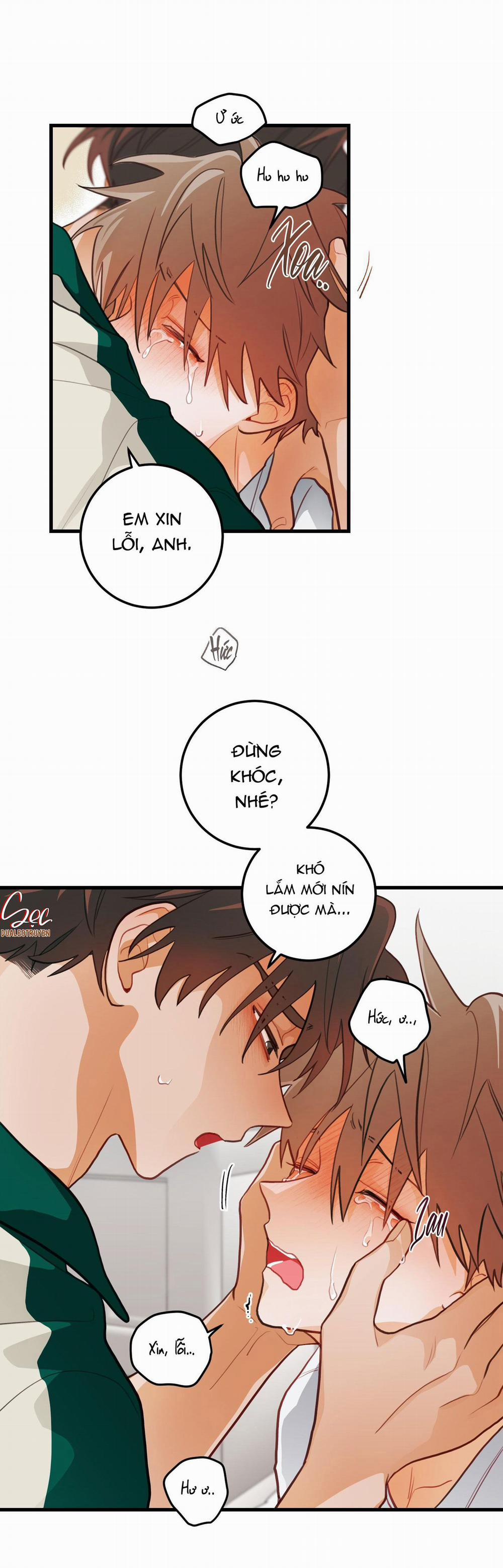 CHUYỆN TÌNH HOA LÊ NỞ 31 ss2 trang 23