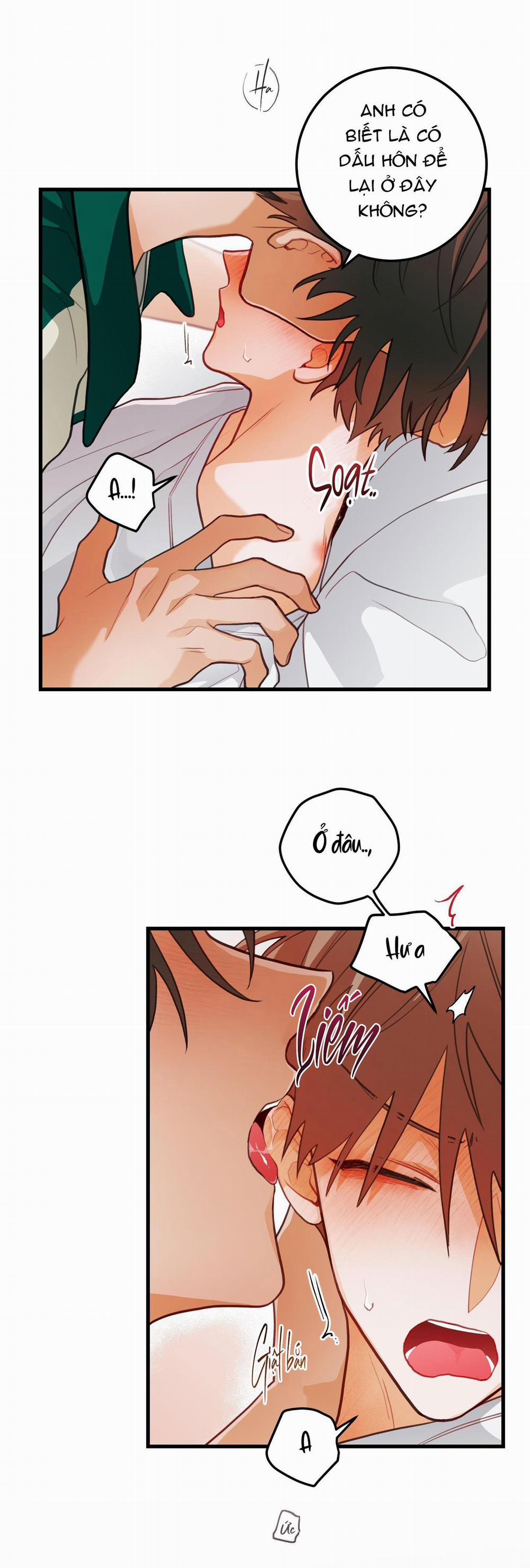 CHUYỆN TÌNH HOA LÊ NỞ 31 ss2 trang 28