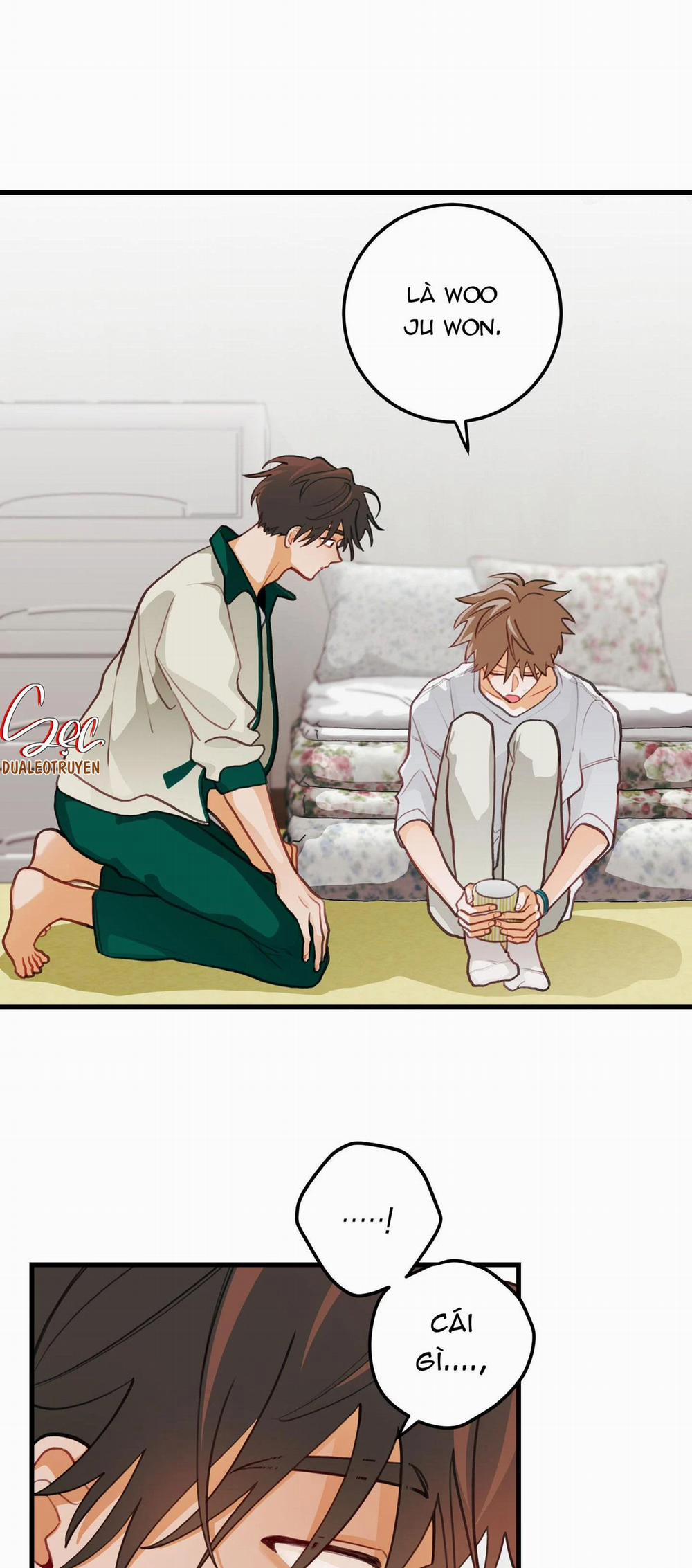 CHUYỆN TÌNH HOA LÊ NỞ 32 trang 13