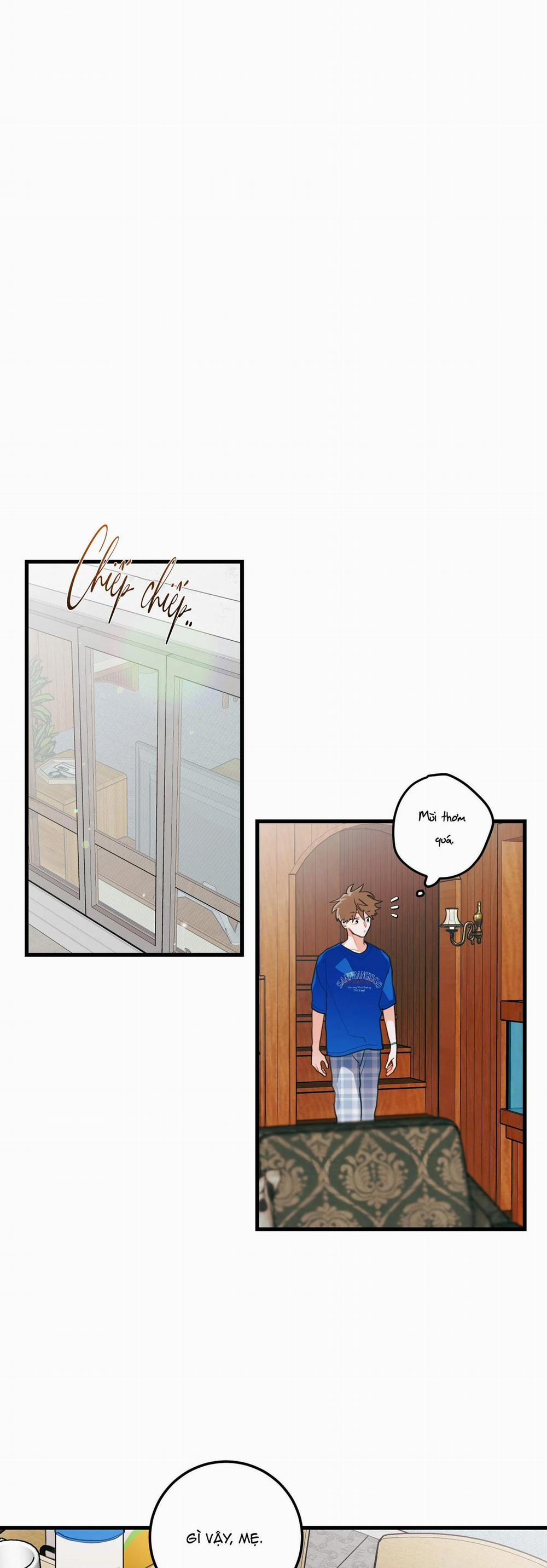 CHUYỆN TÌNH HOA LÊ NỞ 34 trang 11