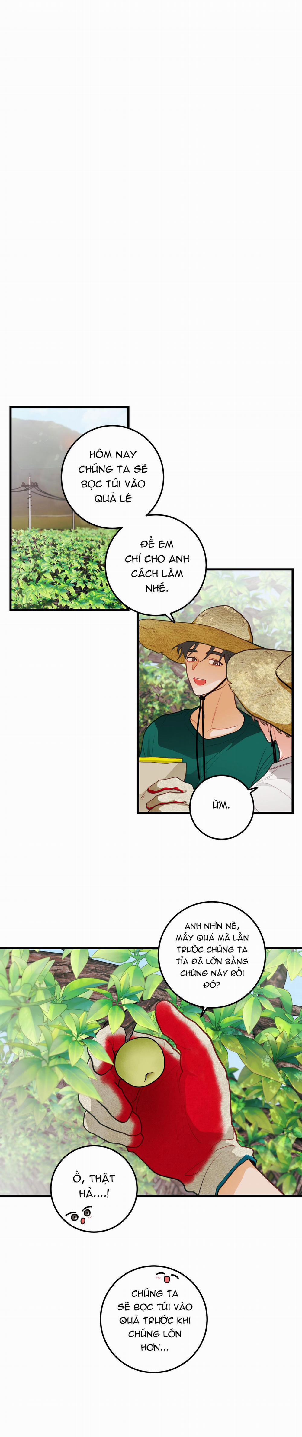 CHUYỆN TÌNH HOA LÊ NỞ 35 trang 1