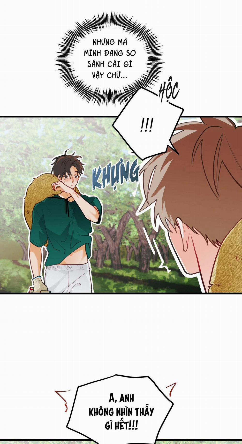 CHUYỆN TÌNH HOA LÊ NỞ 35 trang 11