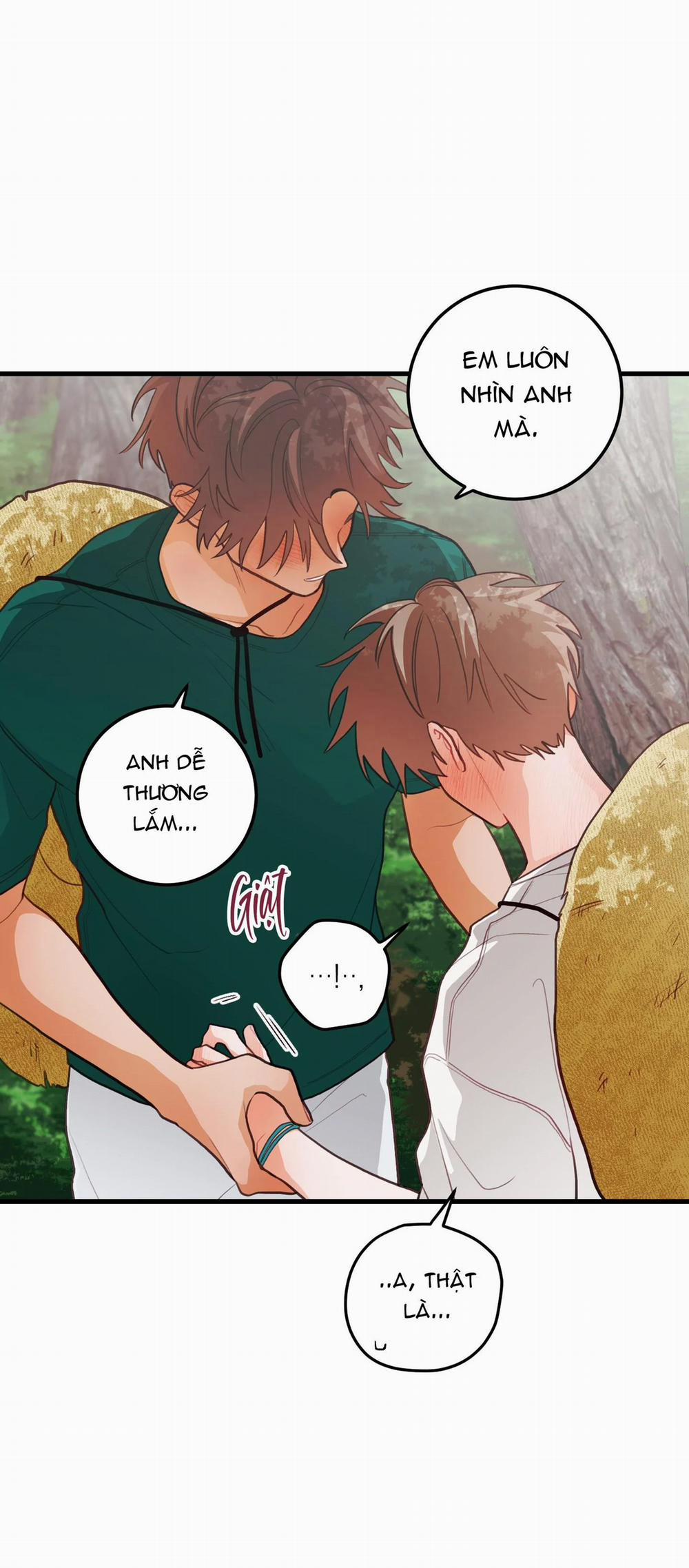 CHUYỆN TÌNH HOA LÊ NỞ 35 trang 19