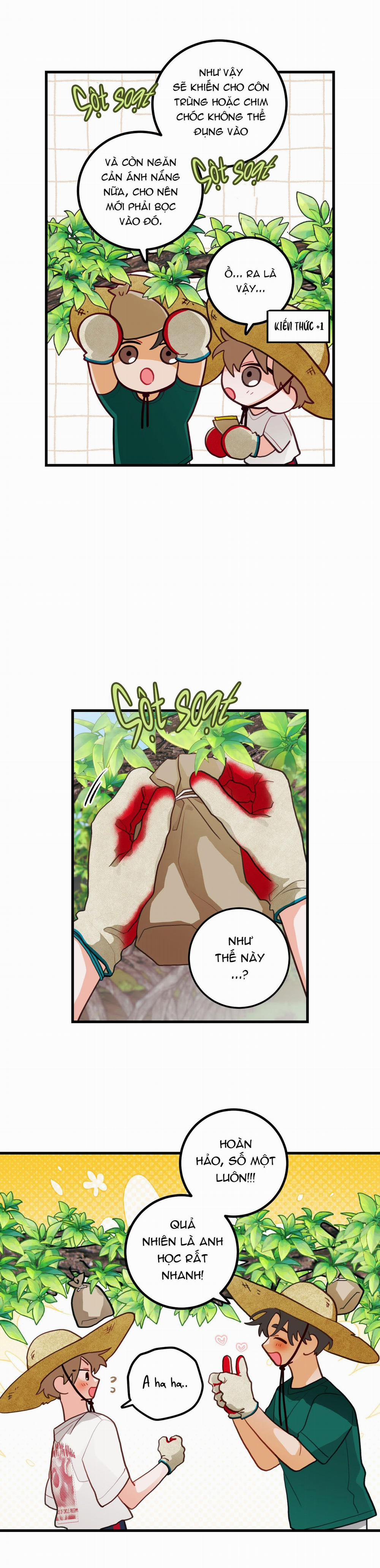 CHUYỆN TÌNH HOA LÊ NỞ 35 trang 2