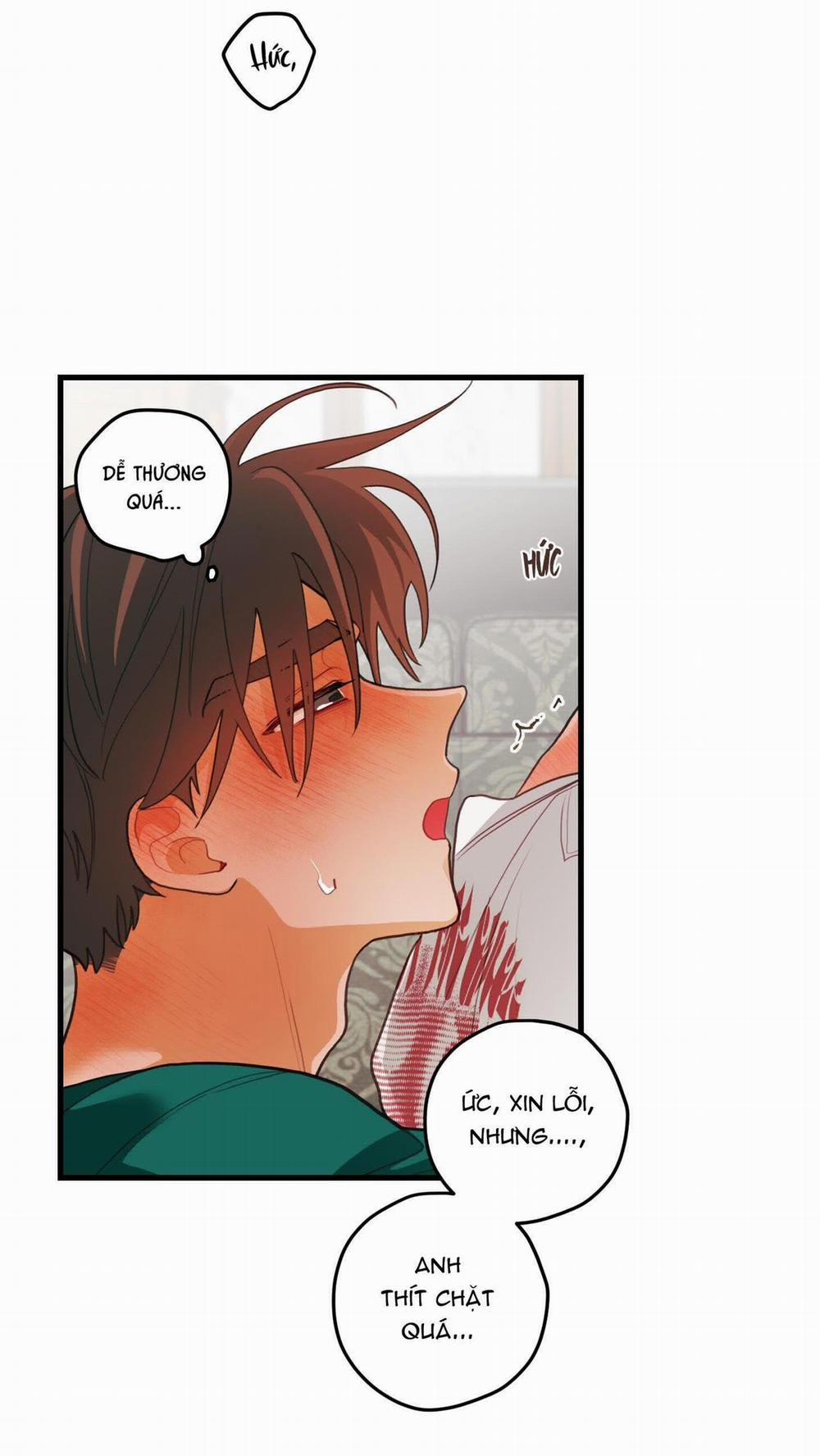 CHUYỆN TÌNH HOA LÊ NỞ 37 trang 11