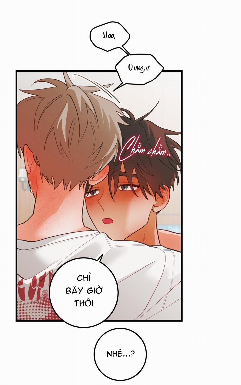 CHUYỆN TÌNH HOA LÊ NỞ 37 trang 30