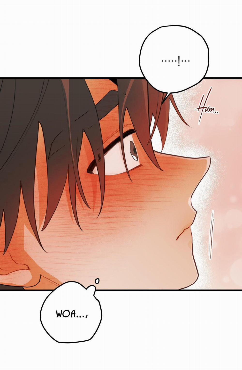 CHUYỆN TÌNH HOA LÊ NỞ 37 trang 33