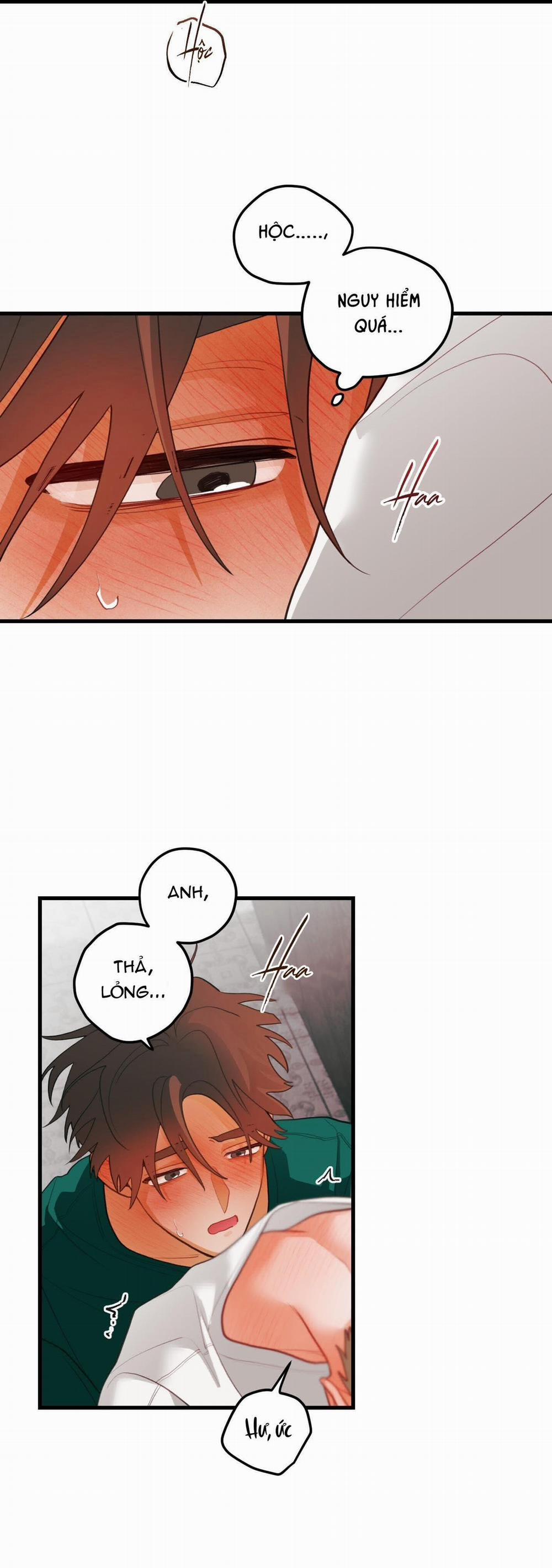 CHUYỆN TÌNH HOA LÊ NỞ 37 trang 6