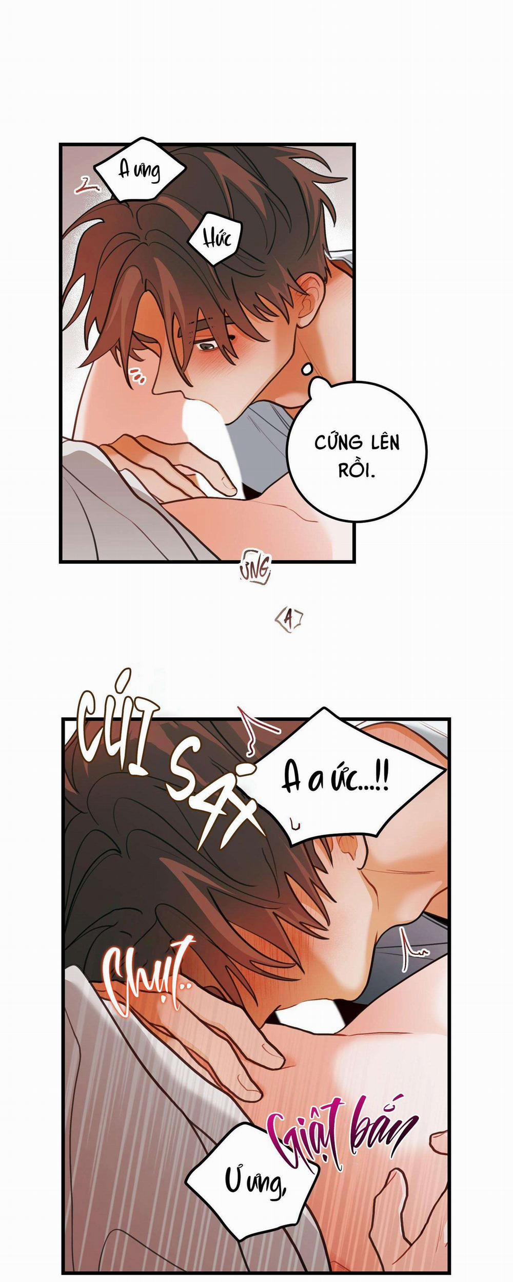 CHUYỆN TÌNH HOA LÊ NỞ 43 trang 37