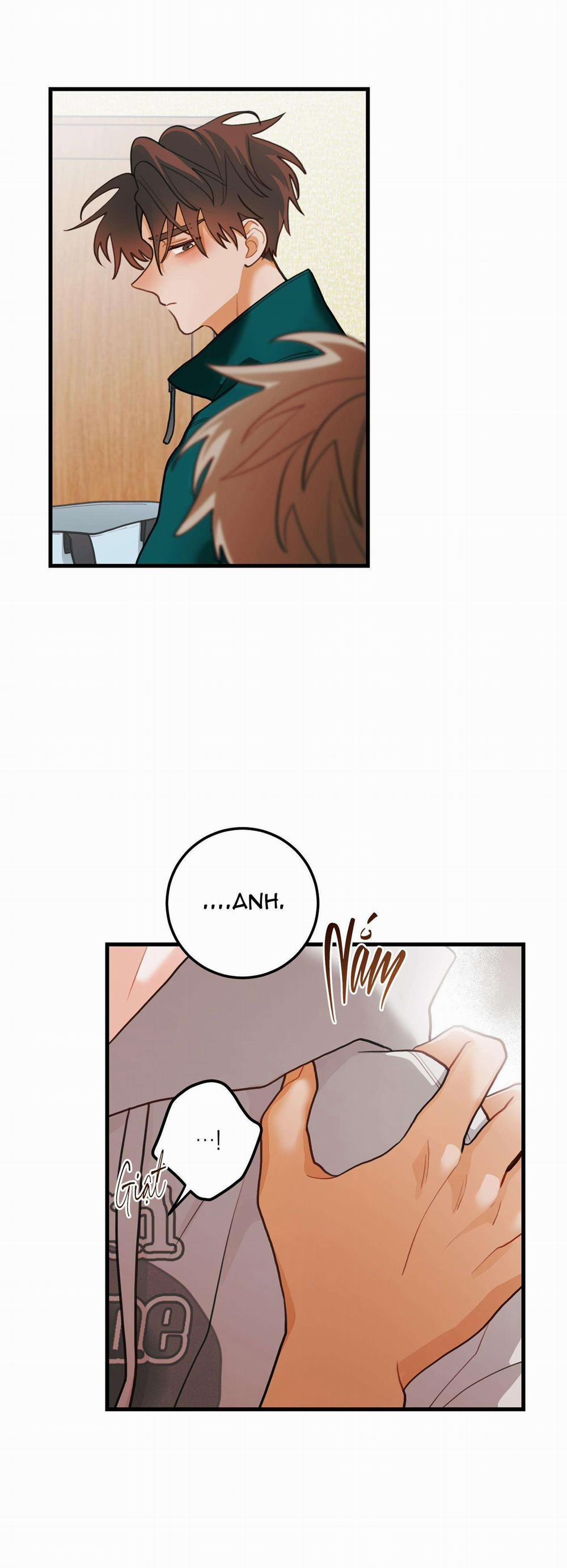 CHUYỆN TÌNH HOA LÊ NỞ 43 trang 6