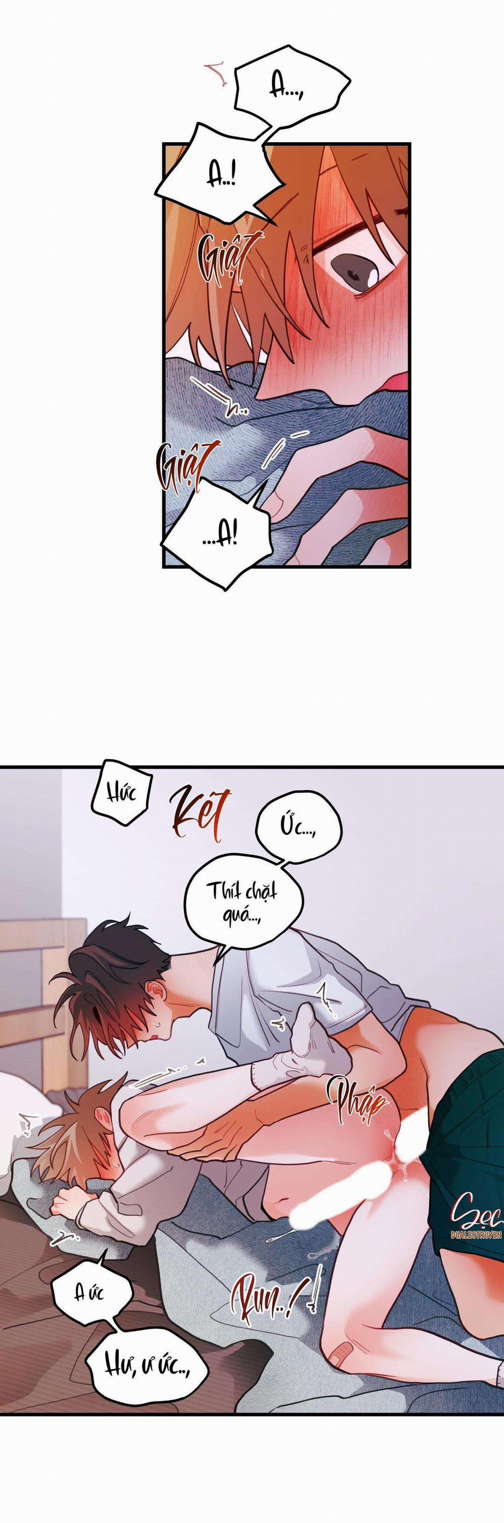 CHUYỆN TÌNH HOA LÊ NỞ 44 trang 21