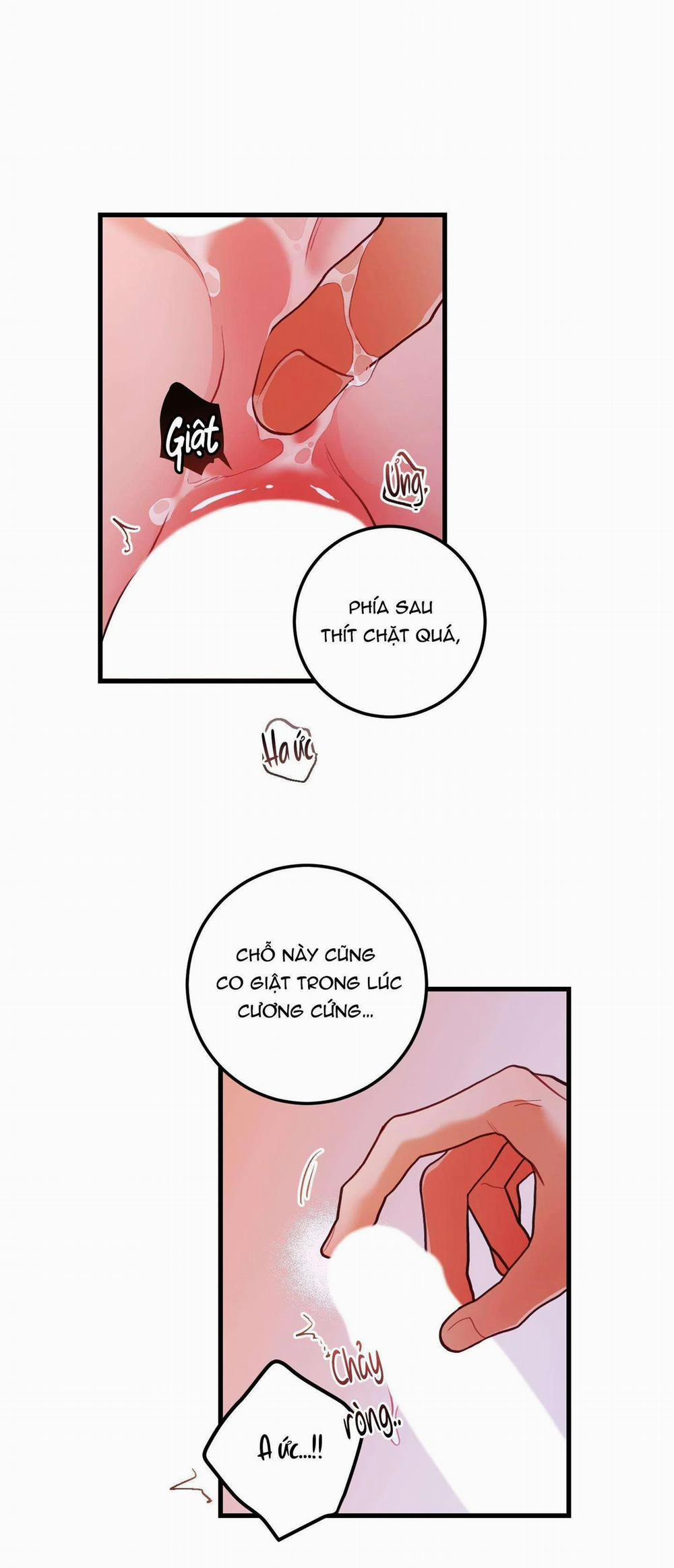 CHUYỆN TÌNH HOA LÊ NỞ 44 trang 44