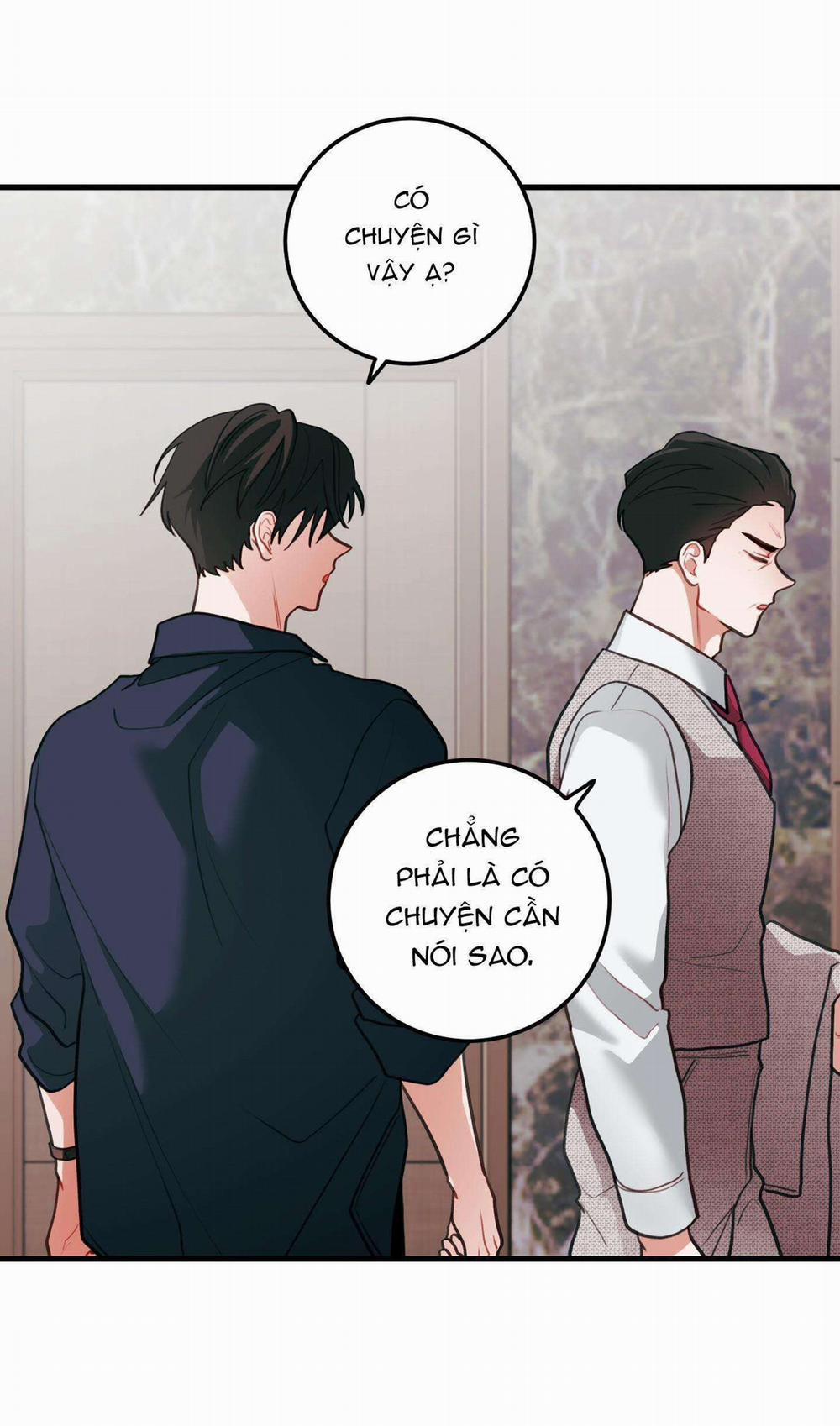 CHUYỆN TÌNH HOA LÊ NỞ 45 trang 12