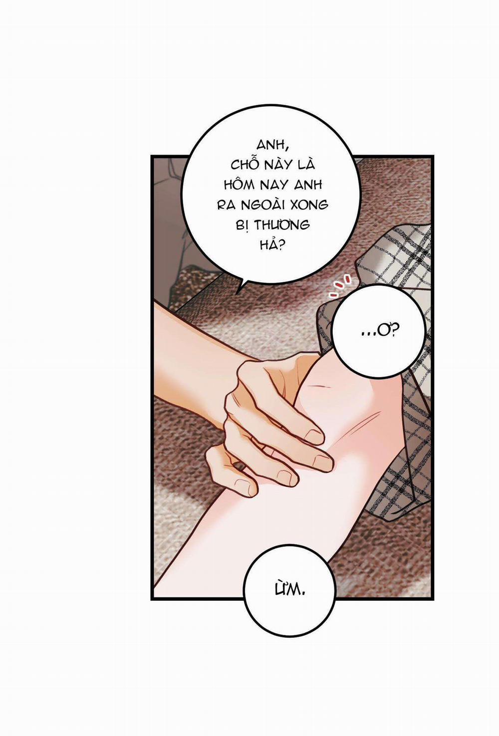 CHUYỆN TÌNH HOA LÊ NỞ 45 trang 28