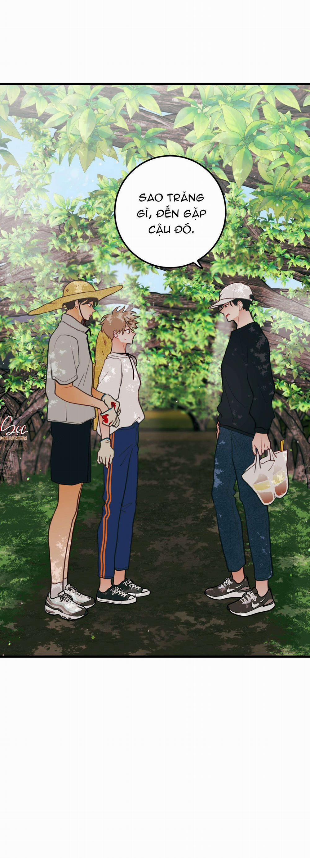 CHUYỆN TÌNH HOA LÊ NỞ 45 trang 49