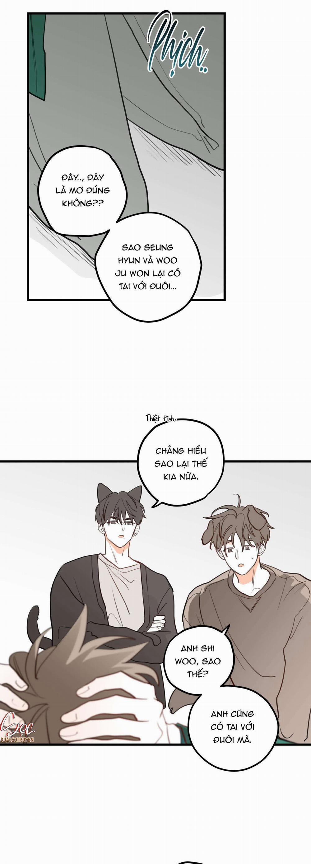 CHUYỆN TÌNH HOA LÊ NỞ 46 trang 11