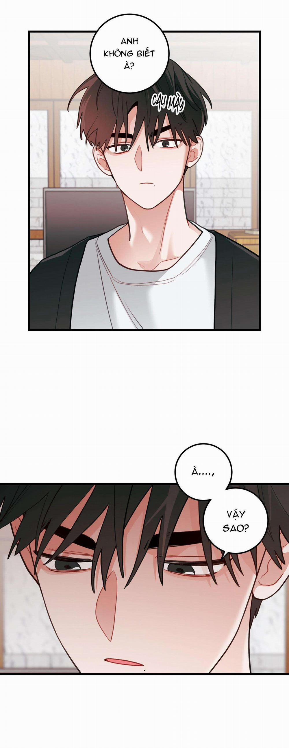 CHUYỆN TÌNH HOA LÊ NỞ 49 trang 48